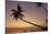 A dusk silhouette of coconut palms at Paliton beach, Siquijor, Philippines, Southeast Asia, Asia-Nigel Hicks-Mounted Photographic Print