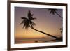 A dusk silhouette of coconut palms at Paliton beach, Siquijor, Philippines, Southeast Asia, Asia-Nigel Hicks-Framed Photographic Print