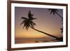 A dusk silhouette of coconut palms at Paliton beach, Siquijor, Philippines, Southeast Asia, Asia-Nigel Hicks-Framed Photographic Print