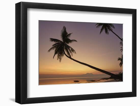 A dusk silhouette of coconut palms at Paliton beach, Siquijor, Philippines, Southeast Asia, Asia-Nigel Hicks-Framed Photographic Print