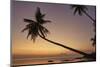 A dusk silhouette of coconut palms at Paliton beach, Siquijor, Philippines, Southeast Asia, Asia-Nigel Hicks-Mounted Photographic Print