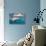 A Dusky Dolphin Swimming Off the Kaikoura Peninsula, New Zealand-James White-Stretched Canvas displayed on a wall