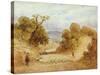 A Dusty Road, 1868-John Linnell-Stretched Canvas