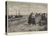 A Dutch Seaside Resort, Discussing the New Arrivals-null-Stretched Canvas