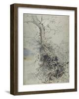 A Dying Tree, its Trunk Covered with Brambles, Beside a Fence, C.1618-20-Peter Paul Rubens-Framed Giclee Print