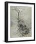 A Dying Tree, its Trunk Covered with Brambles, Beside a Fence, C.1618-20-Peter Paul Rubens-Framed Giclee Print