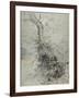 A Dying Tree, its Trunk Covered with Brambles, Beside a Fence, C.1618-20-Peter Paul Rubens-Framed Giclee Print