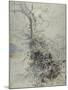 A Dying Tree, its Trunk Covered with Brambles, Beside a Fence, C.1618-20-Peter Paul Rubens-Mounted Giclee Print