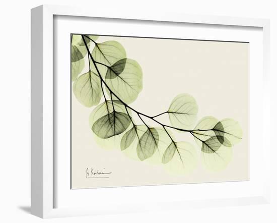 A Eucalyptus Moment-Albert Koetsier-Framed Art Print