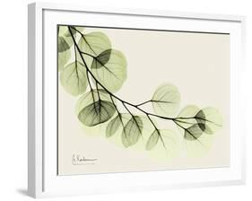 A Eucalyptus Moment-Albert Koetsier-Framed Art Print