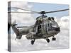 A Eurocopter AS332 Super Puma Helicopter of the Brazilian Navy-Stocktrek Images-Stretched Canvas