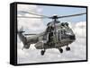 A Eurocopter AS332 Super Puma Helicopter of the Brazilian Navy-Stocktrek Images-Framed Stretched Canvas