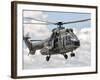 A Eurocopter AS332 Super Puma Helicopter of the Brazilian Navy-Stocktrek Images-Framed Photographic Print