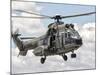 A Eurocopter AS332 Super Puma Helicopter of the Brazilian Navy-Stocktrek Images-Mounted Photographic Print