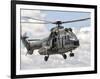 A Eurocopter AS332 Super Puma Helicopter of the Brazilian Navy-Stocktrek Images-Framed Photographic Print