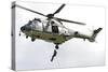 A Eurocopter As332 Super Puma of the Swiss Air Force-null-Stretched Canvas