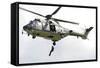 A Eurocopter As332 Super Puma of the Swiss Air Force-null-Framed Stretched Canvas