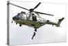 A Eurocopter As332 Super Puma of the Swiss Air Force-null-Stretched Canvas