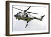 A Eurocopter As332 Super Puma of the Swiss Air Force-null-Framed Photographic Print