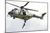A Eurocopter As332 Super Puma of the Swiss Air Force-null-Mounted Photographic Print