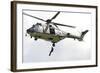 A Eurocopter As332 Super Puma of the Swiss Air Force-null-Framed Photographic Print