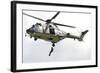 A Eurocopter As332 Super Puma of the Swiss Air Force-null-Framed Photographic Print