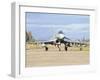 A Eurofighter 2000 Typhoon of the Italian Air Force-Stocktrek Images-Framed Photographic Print