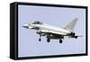 A Eurofighter Typhoon 2000 of the Italian Air Force-null-Framed Stretched Canvas