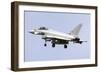 A Eurofighter Typhoon 2000 of the Italian Air Force-null-Framed Photographic Print