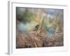 A European Stonechat Rests for a Moment on a Bracken Pile in Richmond Park-Alex Saberi-Framed Photographic Print