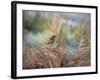 A European Stonechat Rests for a Moment on a Bracken Pile in Richmond Park-Alex Saberi-Framed Photographic Print