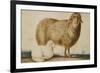 A Ewe and Her Lamb, circa 1850-Abu'l-hasan Ghaffari Kashani-Framed Giclee Print