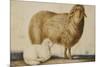 A Ewe and Her Lamb, circa 1850-Abu'l-hasan Ghaffari Kashani-Mounted Giclee Print