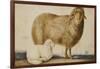 A Ewe and Her Lamb, circa 1850-Abu'l-hasan Ghaffari Kashani-Framed Giclee Print