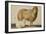 A Ewe and Her Lamb, circa 1850-Abu'l-hasan Ghaffari Kashani-Framed Giclee Print