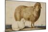 A Ewe and Her Lamb, circa 1850-Abu'l-hasan Ghaffari Kashani-Mounted Giclee Print