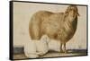 A Ewe and Her Lamb, circa 1850-Abu'l-hasan Ghaffari Kashani-Framed Stretched Canvas