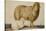 A Ewe and Her Lamb, circa 1850-Abu'l-hasan Ghaffari Kashani-Stretched Canvas