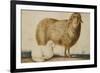 A Ewe and Her Lamb, circa 1850-Abu'l-hasan Ghaffari Kashani-Framed Premium Giclee Print