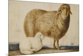 A Ewe and Her Lamb, circa 1850-Abu'l-hasan Ghaffari Kashani-Mounted Premium Giclee Print