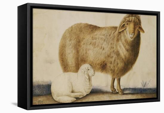 A Ewe and Her Lamb, circa 1850-Abu'l-hasan Ghaffari Kashani-Framed Stretched Canvas