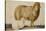 A Ewe and Her Lamb, circa 1850-Abu'l-hasan Ghaffari Kashani-Stretched Canvas