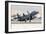 A F-15E Strike Eagle of the U.S. Air Force Uses Aero Braking after Landing-Stocktrek Images-Framed Photographic Print