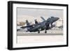 A F-15E Strike Eagle of the U.S. Air Force Uses Aero Braking after Landing-Stocktrek Images-Framed Photographic Print