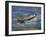 A F-86 Sabre Jet in Flight-Stocktrek Images-Framed Photographic Print