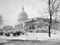 U. S. Capitol in Winter-A.F. Nieman-Laminated Photographic Print