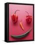 A Face Made of Chilli Peppers-Malgorzata Stepien-Framed Stretched Canvas