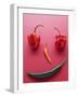 A Face Made of Chilli Peppers-Malgorzata Stepien-Framed Photographic Print