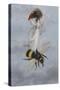 A Fairy Carrying a Feather Standing on a Bee-Amelia Jane Murray-Stretched Canvas