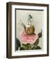 A Fairy Holding a Leaf, Sitting on a Snail Above a Rose-Amelia Jane Murray-Framed Giclee Print